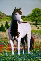 Southwest And Western - Texas Hill Country Stallion - Acrylic On Canvas